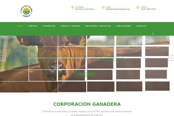 corfoga.org site used Consulting