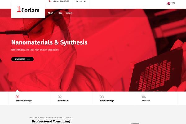 Businesslounge theme site design template sample