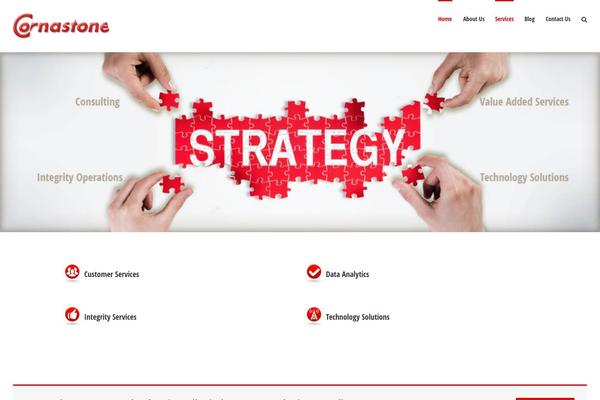 Avada3.8.4 theme websites examples