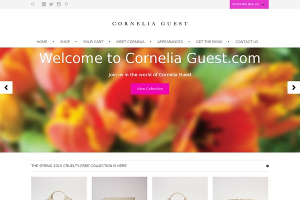 Store theme site design template sample