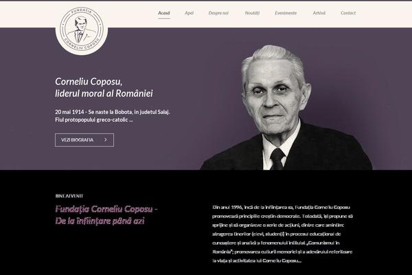 corneliu-coposu.ro site used Fundatia
