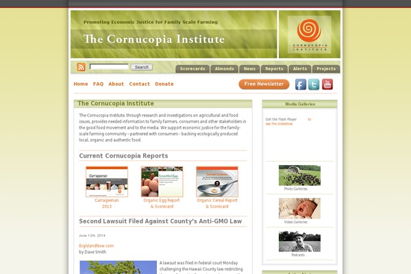 Cornucopia theme websites examples