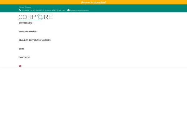 Site using Elfsight-instagram-feed-cc plugin