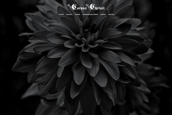 Studiozen theme site design template sample