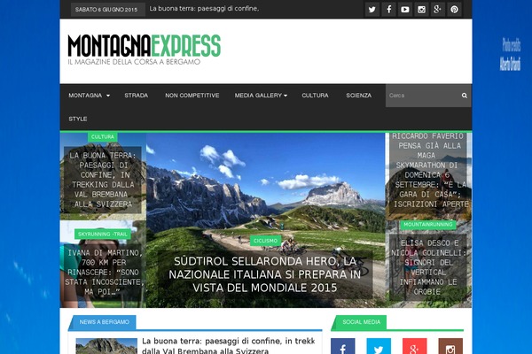 Lineza theme site design template sample
