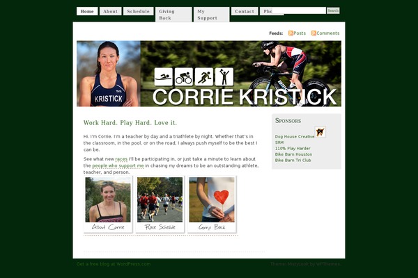 Misty Look theme site design template sample