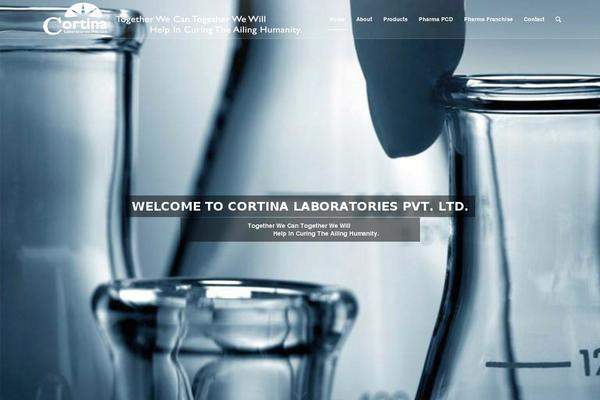Site using Sticky Popup plugin