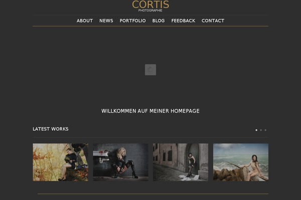 Skyfashion theme site design template sample