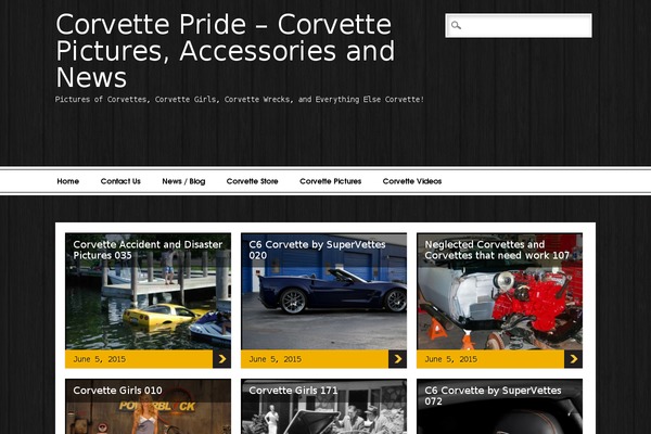 Newschannel theme site design template sample