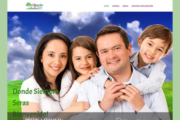 Site using WP Embed Facebook plugin