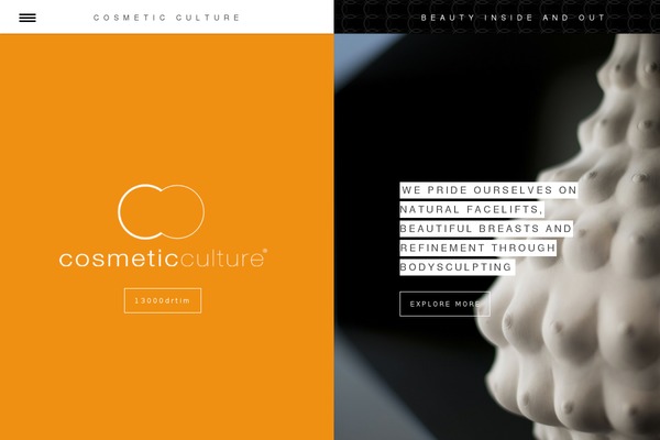 Reflex theme site design template sample