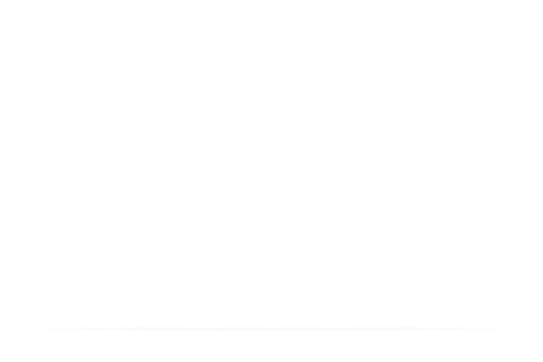 Site using Perfect-woocommerce-brands plugin
