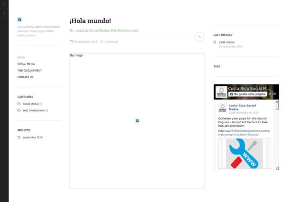 DW Minion theme site design template sample