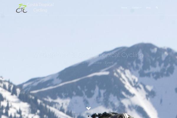 Pinnacle Premium theme site design template sample