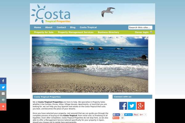 Options theme site design template sample
