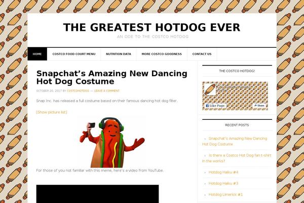 News Pro theme site design template sample