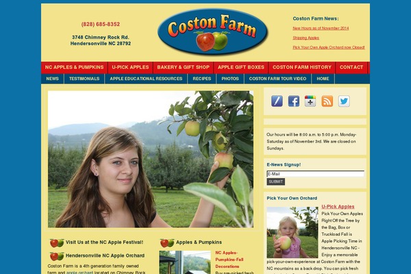 Corporate theme site design template sample