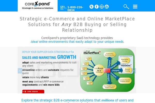 cxblog theme websites examples