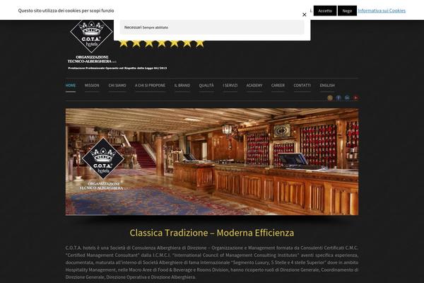 Visionaire theme site design template sample