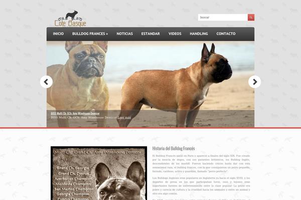 Exposure theme site design template sample