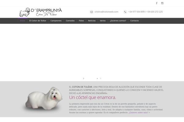 Mexin theme site design template sample