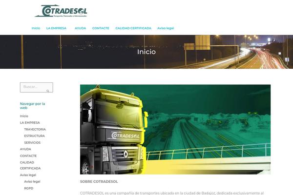 Site using Translatepress-developer plugin