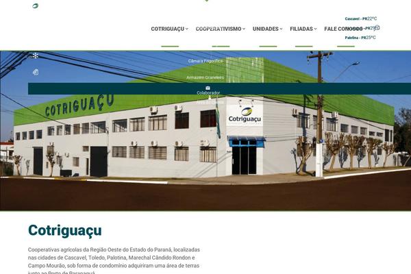 Site using Lazy Load for Videos plugin