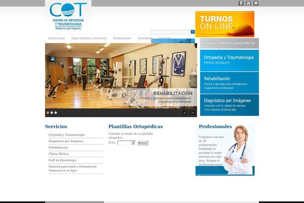 Site using Category Posts Widget plugin