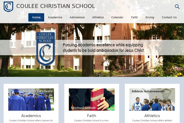 Radiate Pro theme site design template sample