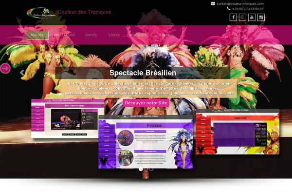 Site using All-in-one-video-gallery plugin