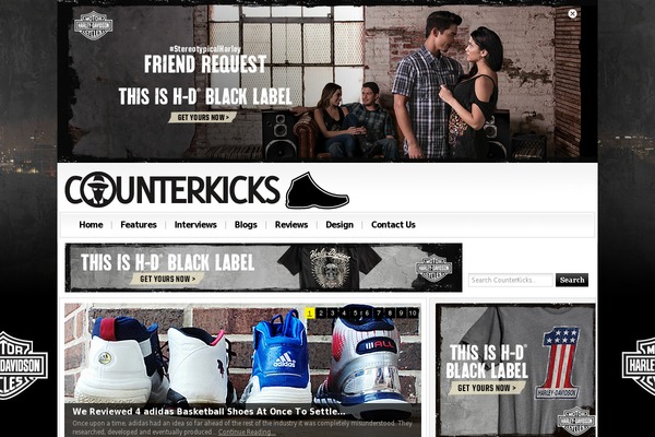 newsone theme websites examples