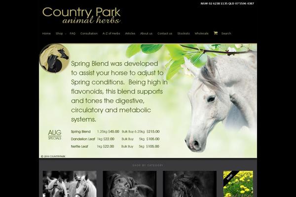 KLEO theme site design template sample