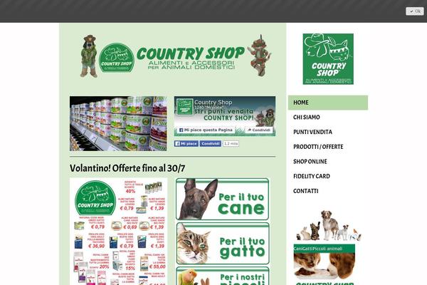 Shocoon theme site design template sample