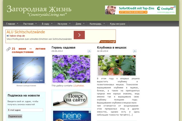 Schema Lite theme site design template sample