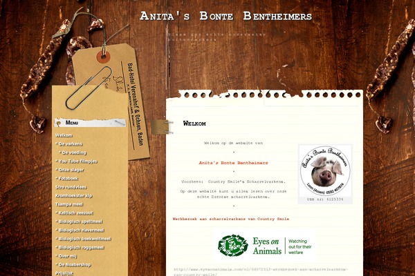 Comment Central theme site design template sample