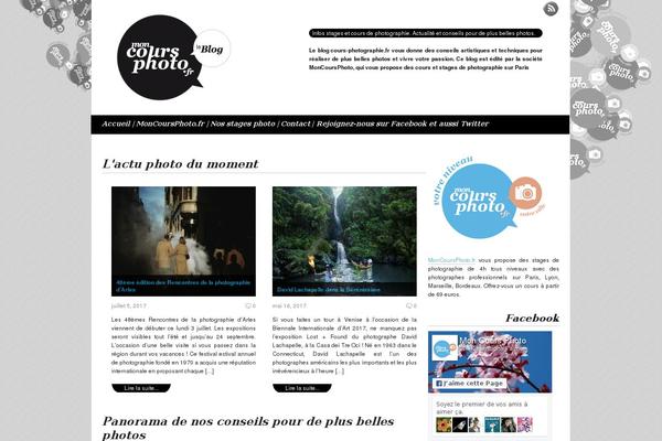 Wishful Blog theme site design template sample