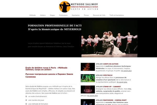 Avada theme site design template sample