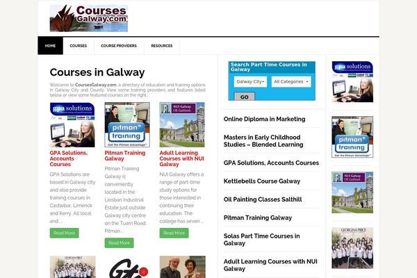 News Pro theme site design template sample