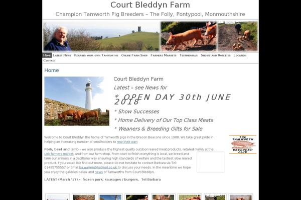courtbleddyn.com site used ZenLite