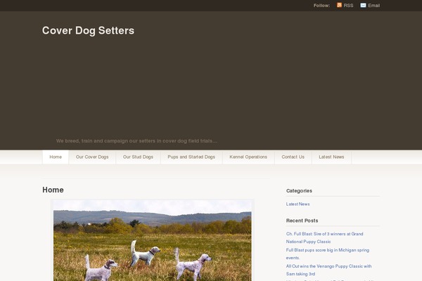 Titan theme site design template sample