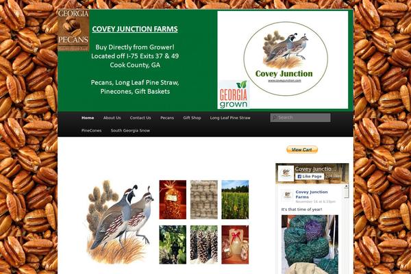 coveyjunction.com site used Twenty Eleven