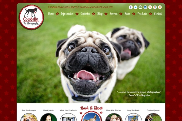 Site using Advanced iFrame plugin