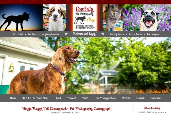 Site using Ajaxd-wordpress plugin