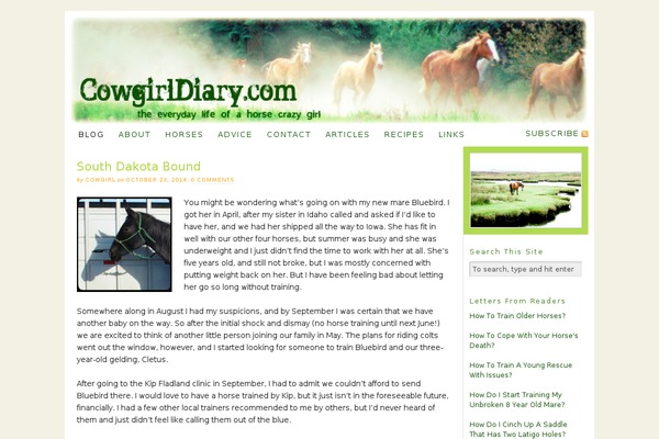 Thesis 1.7 theme site design template sample