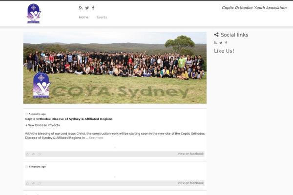 Site using Wd-facebook-feed plugin