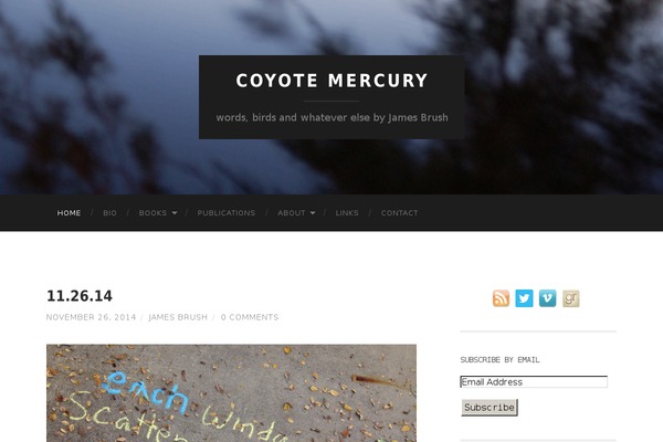 Author theme site design template sample