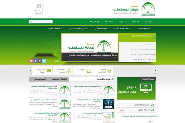 Cpa theme websites examples