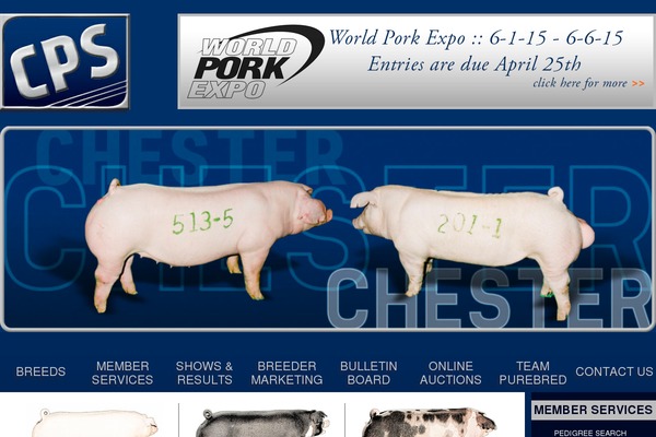 Cps theme site design template sample
