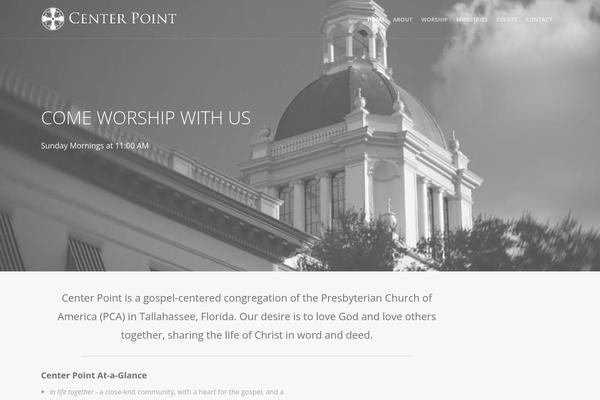 Themetrust-create theme site design template sample