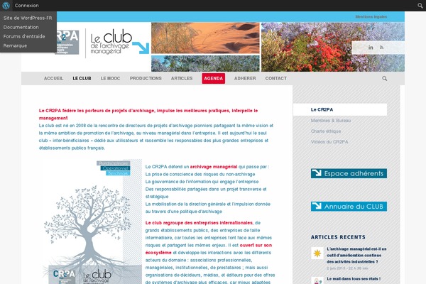 Enfold theme site design template sample